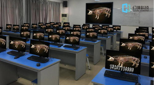 動物虛擬解剖系統 惟物實驗室引領數字動物解剖學與實驗課程改革